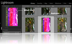 Example glitch with lightroom rendering