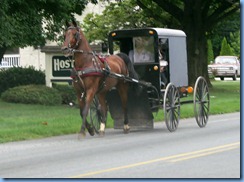 1682 Pennsylvania - Lincoln Highway - Amish buggy