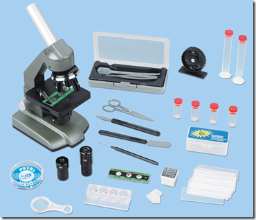 Lakeshore Giant Slot And Build Shapes Lakeshore Giant Slot And Build Shapes