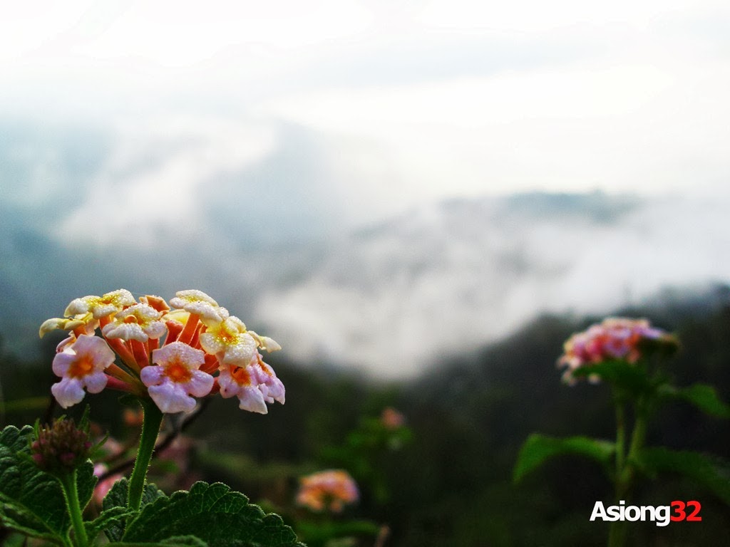 [DSCI1298Asiong324.jpg]