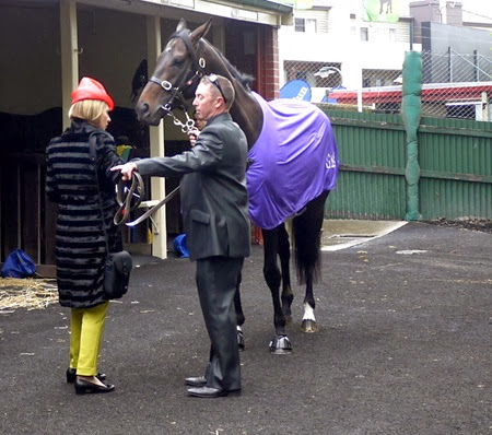 gai waterhouse_fiorente 1