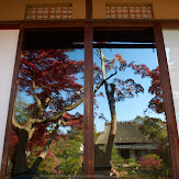 依水園,紅葉(PK3_0774,F7.1,16mm,K-3)2014yaotomi_.jpg