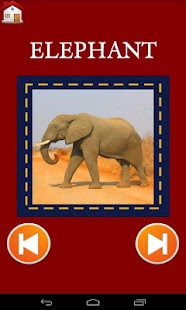 【免費解謎App】Animal Jigsaw Puzzles and Quiz-APP點子