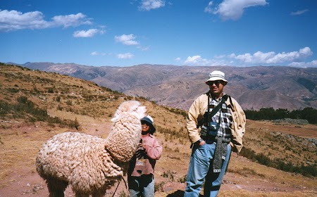 15. Lama in Peru.jpg