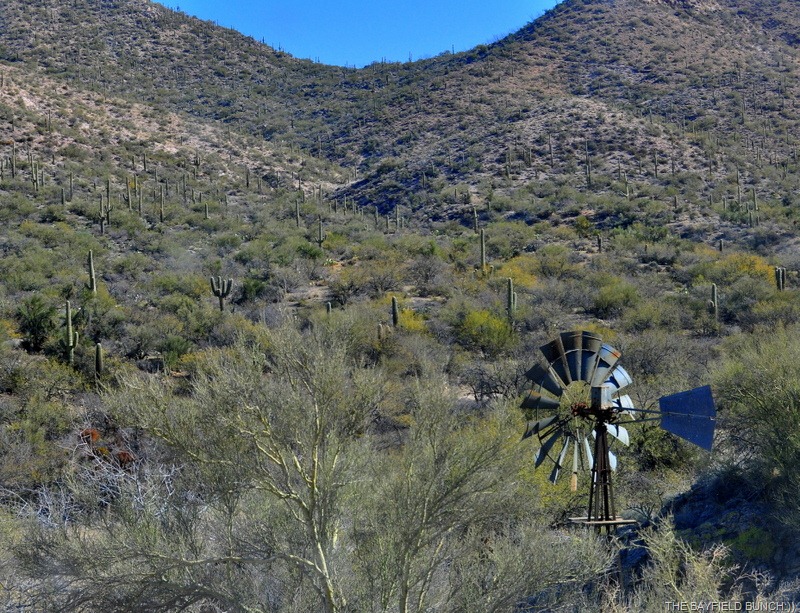 [DSC_0079%255B4%255D.jpg]