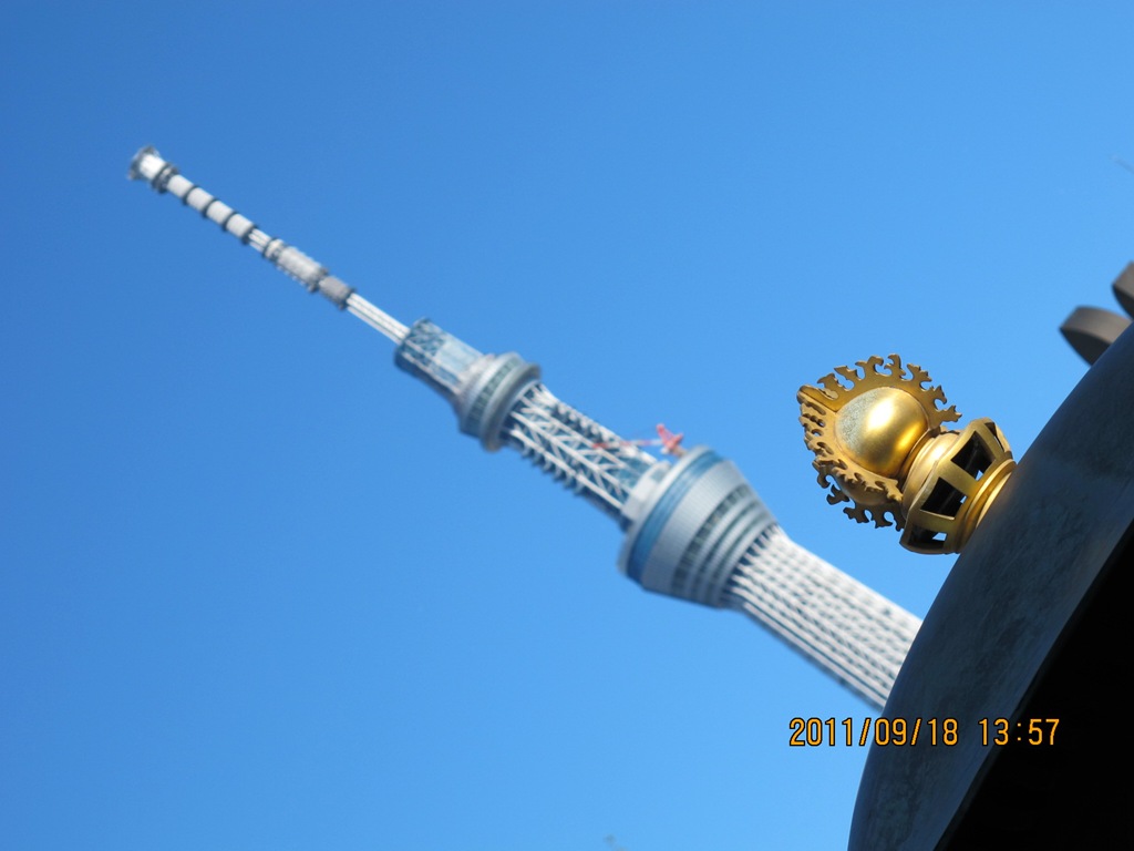 [201119181185.jpg]
