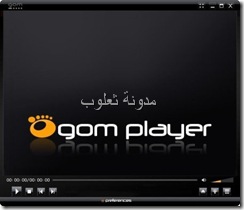 GOM Player 2013