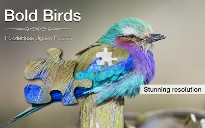 Bold Birds Jigsaw Puzzles Demo poster 5
