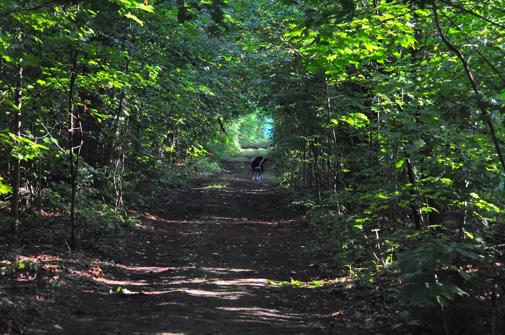 [DSC_0003%255B4%255D.jpg]