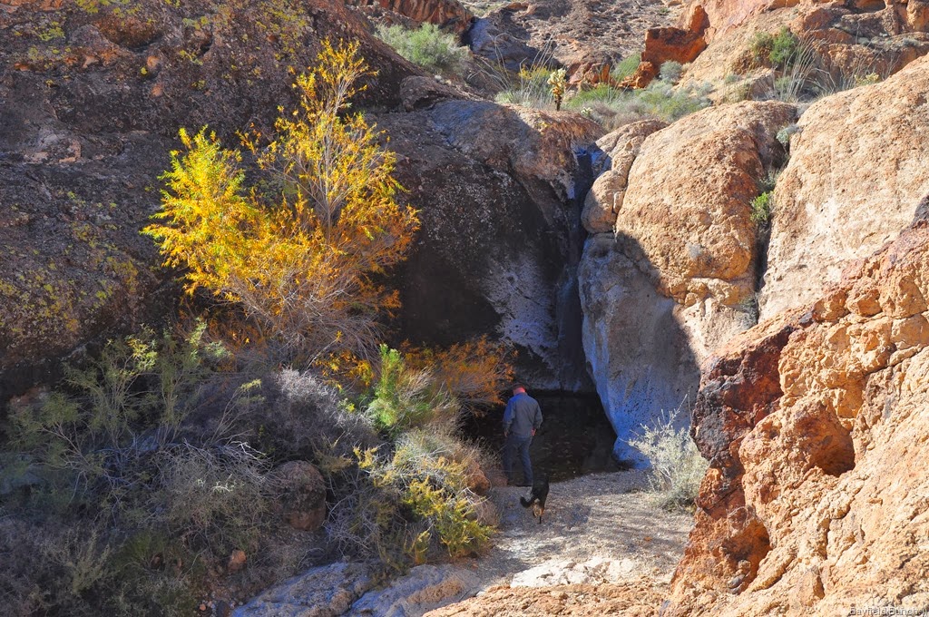 [DSC_0075%255B3%255D.jpg]