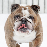 On the move by Mia Ikonen -  