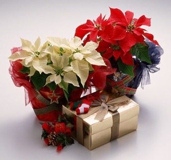 [1_1%255B2%255D.jpg]