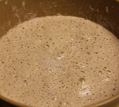 seeded-semolina-spelt-loaf_101 seeded-semolina-spelt-loaf_101