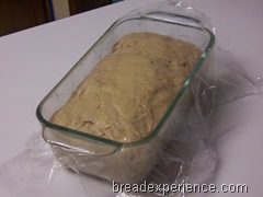 sprouted-wheat-bread 029