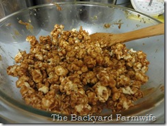 dark chocolate salted caramel popcorn - The Backyard Farmwife