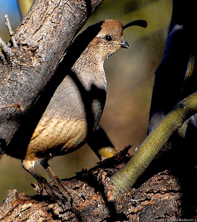 [DSC_3412%255B4%255D.jpg]