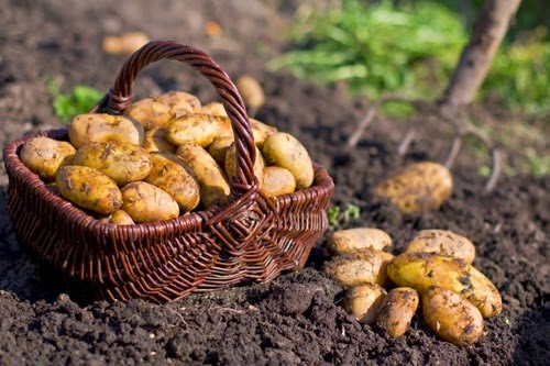 [clip_image001%255B3%255D.jpg]