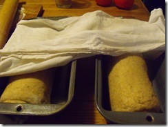 Bread Dough in Pan