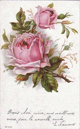 1frenchrosegfairyb 1frenchrosegfairyb
