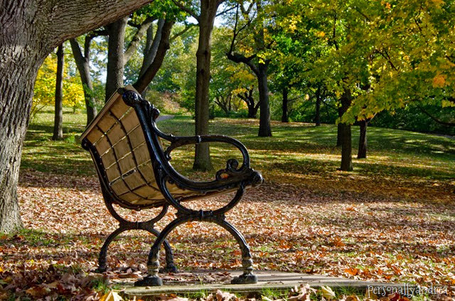 High Park Fall Colours | park bench | personallyandrea.com