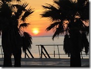 IMG_6465 IMG_6465