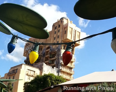 Bug's Eye View of Tower of Terror