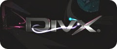 DivX Web Player Plugin