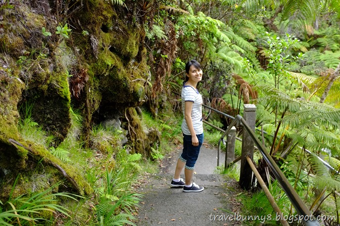 DSCF1953 DSCF1953