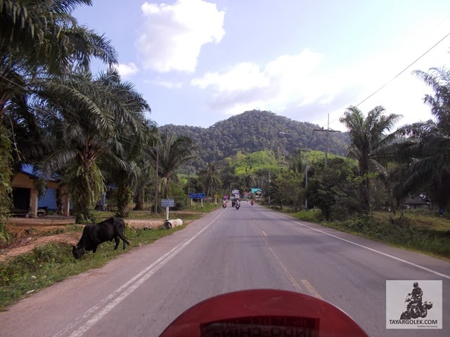 [DSCN28722.jpg]