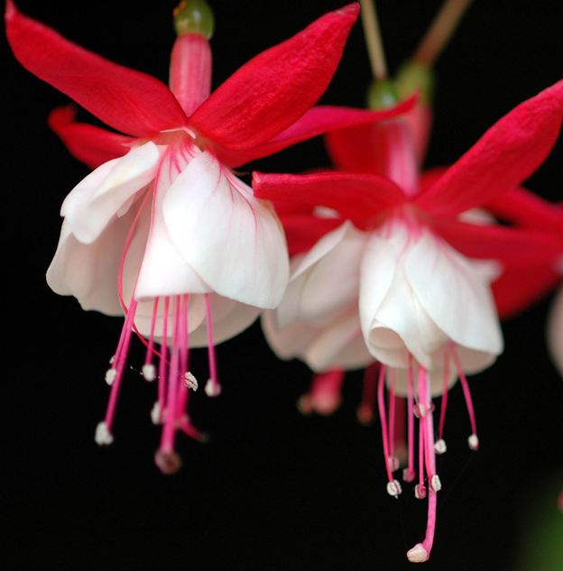 [image%255B95%255D.png]