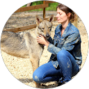 Image Google de L'Agence tous chiens