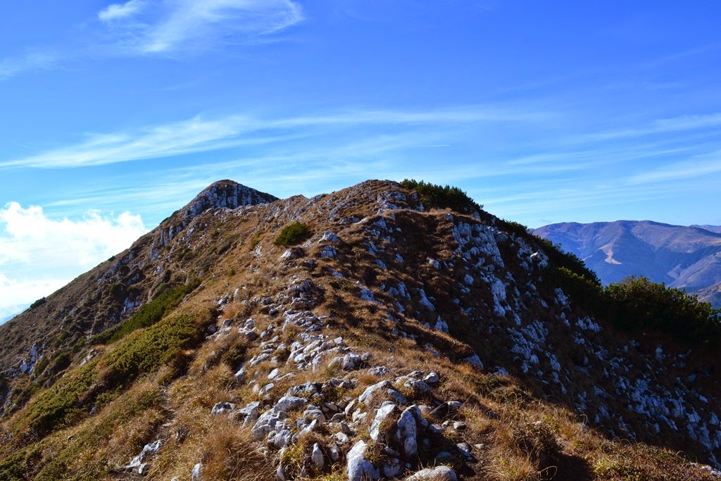 [DSC_59783.jpg]
