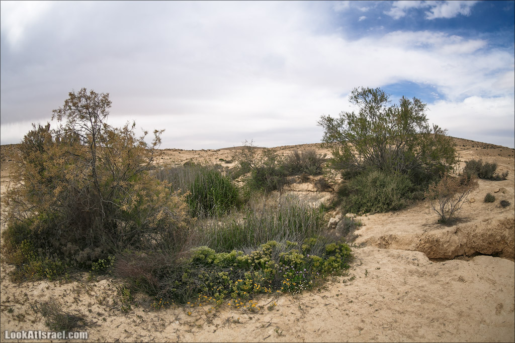 Водоёмы (колодцы) Луц | Lutz cisterns | בורות לוץ | LookAtIsrael.com - Фото путешествия по Израилю