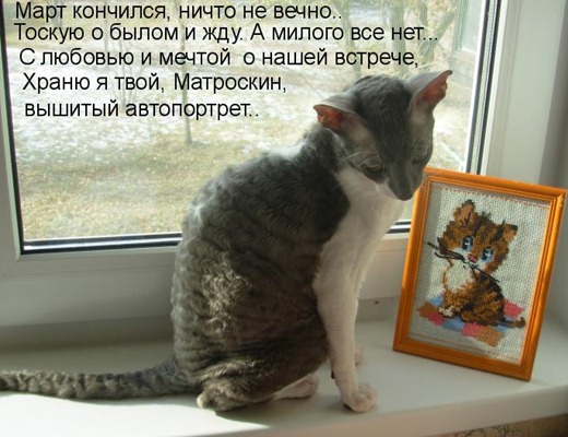 [%253A%253EB%253E%253C0B%25408F0-auto-19404%255B3%255D.jpg]