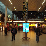schiphol airport in Frankfurt, Germany 