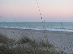 Florida Engelwood sunset2