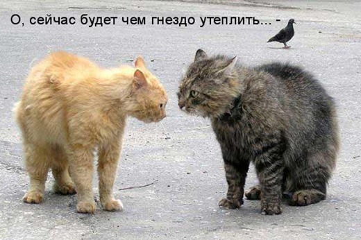 [51054681_1257962451_377270%255B3%255D.jpg]