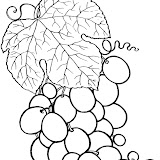 Fruit%2520and%2520berries%2520coloring%2520pages%25203.jpg