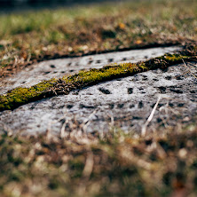 380383-pentax-645z-sample-image.jpg