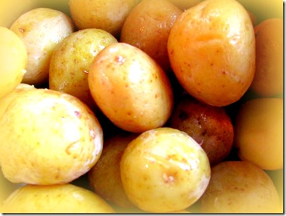 salt potatoes
