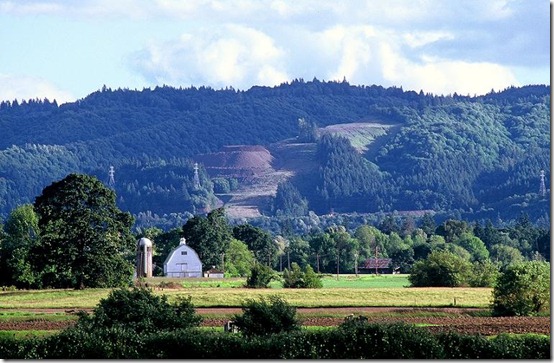 Sauvie Island, photo Mathew Dodson