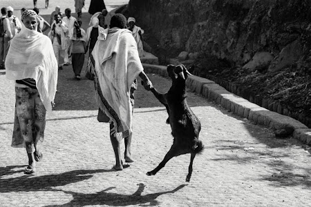 Doi romani si-un tricolor in jurul lumii: Lalibela, Etiopia