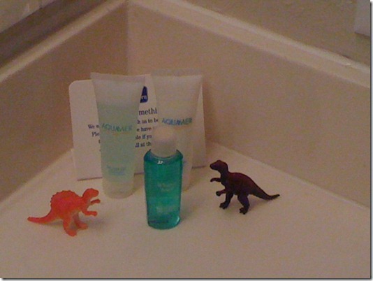 dinosaurs in the bathroom_thumb[2]