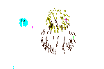 la-fogos-12.gif