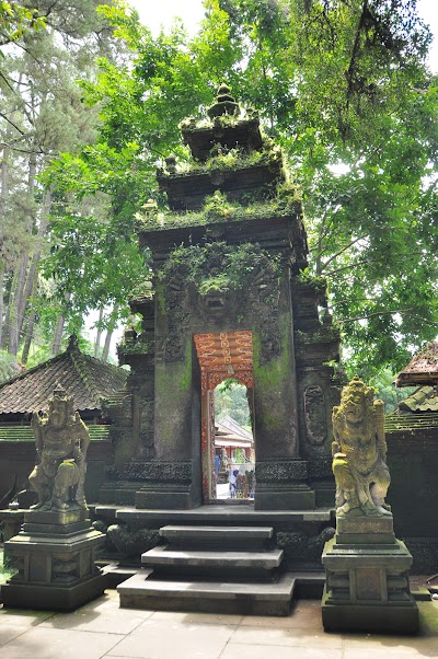 DSC_0113.jpg