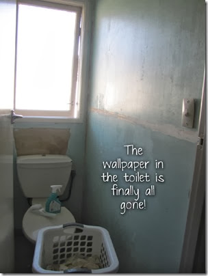 toilet copy