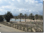 IMG_5646 IMG_5646