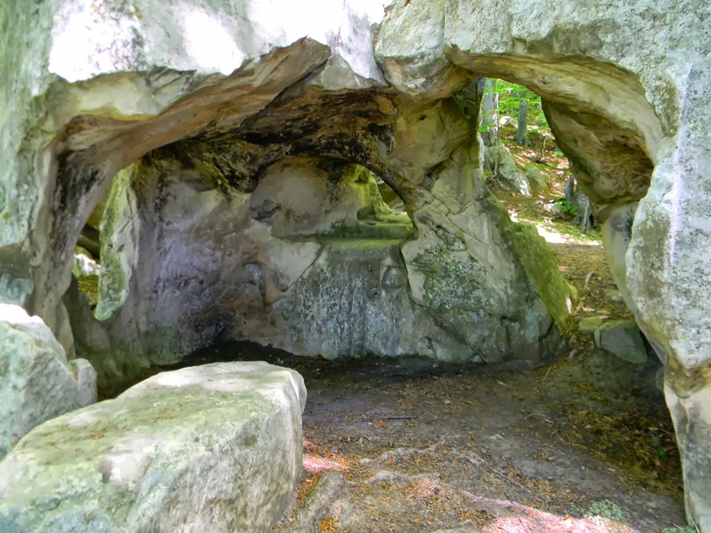 [DSCN94223.jpg]