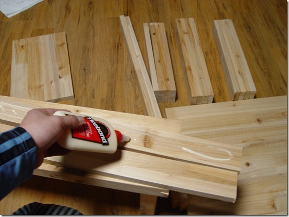 Gallery4553_1
