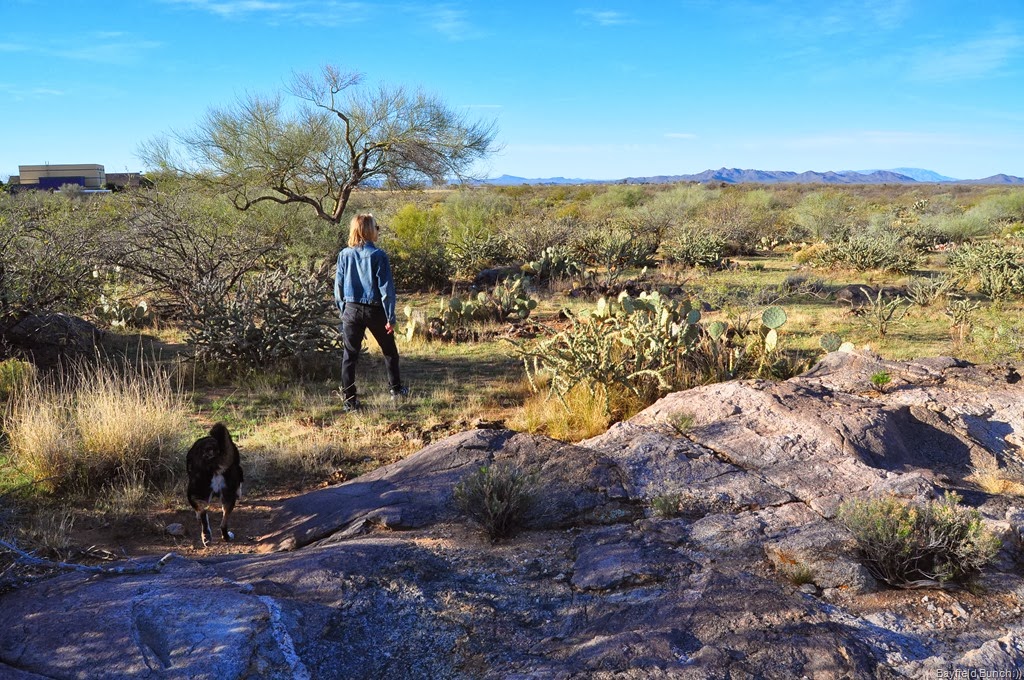 [DSC_0003-001%255B3%255D.jpg]